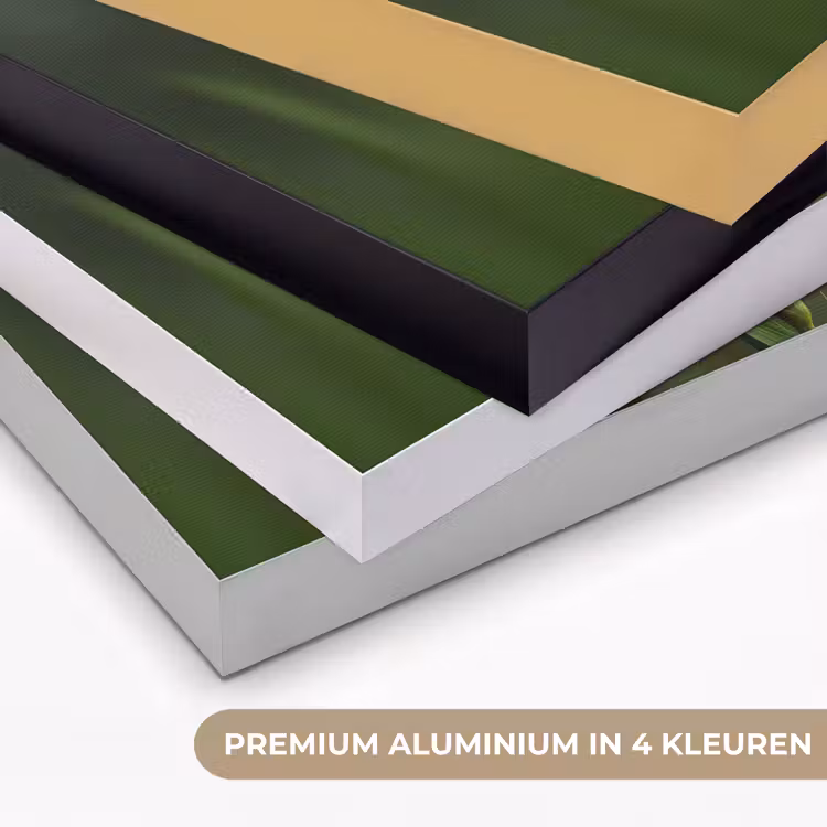 Art Frame - Bloem - Gladiolen - Zalmroze — 5