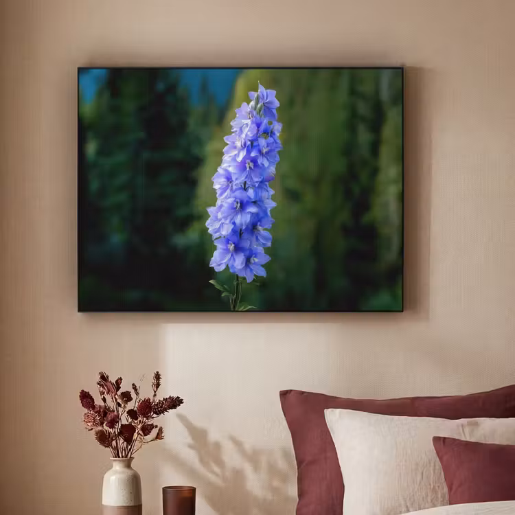 Art Frame - Bloemen - Blauw - Dennenboom — 2