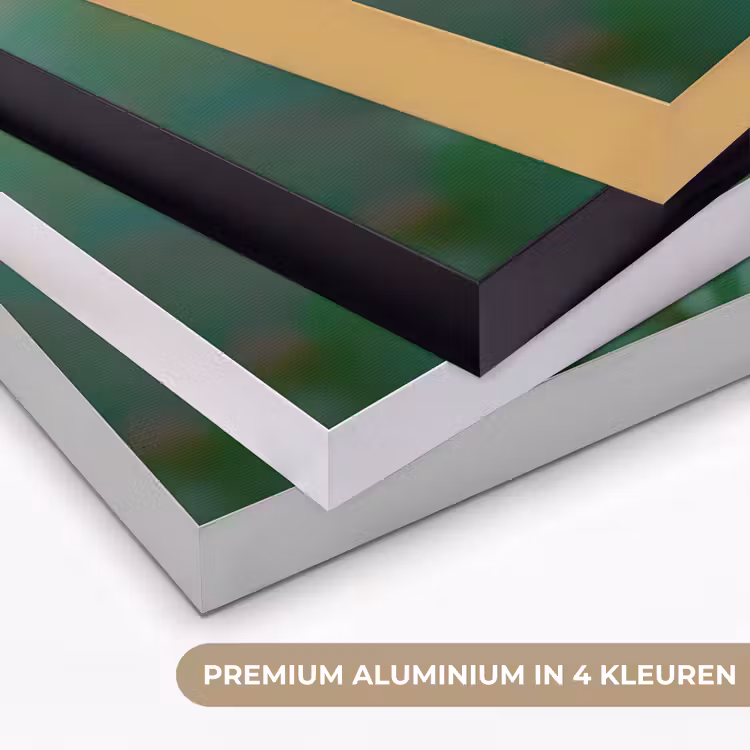 Art Frame - Aster - Paars - Bloem - Blaadjes — 5