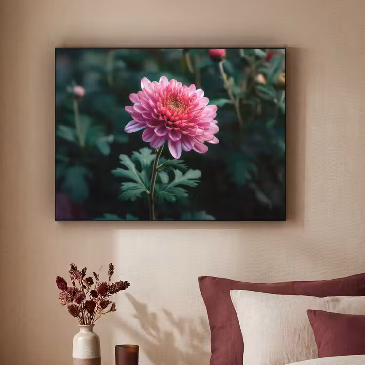 Art Frame - Blad - Chrysant - Roze - Schaduw — 2