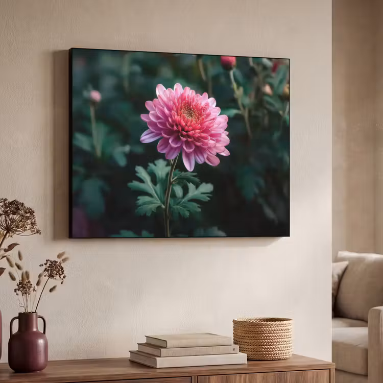 Art Frame - Blad - Chrysant - Roze - Schaduw — 4