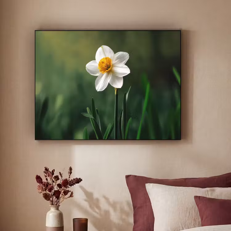 Art Frame - Narcis - Bloem - Wit - Grassprieten — 2
