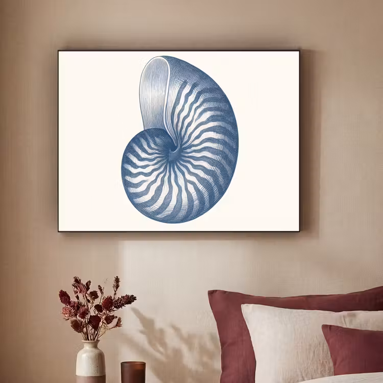 Art Frame - Blauw - Schelp - Spiraal — 2