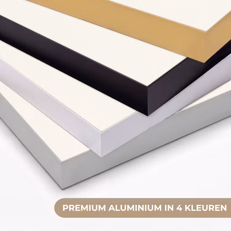 Art Frame - Krab - Felrood - Poten — 5