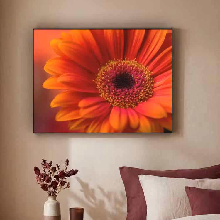 Art Frame - Oranje - Gerbera - Intens — 2
