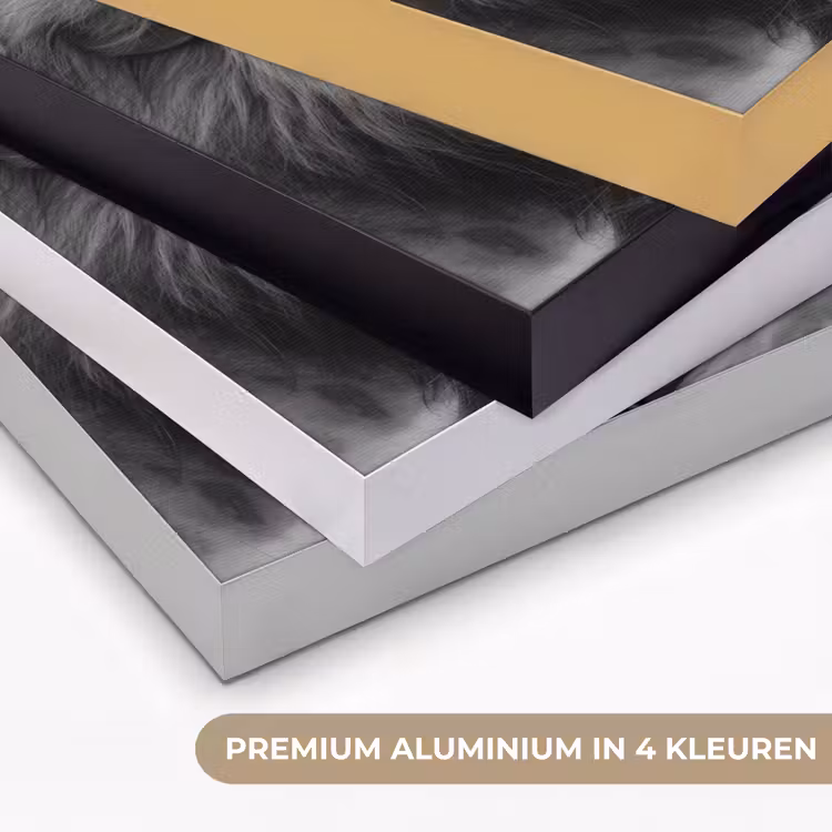 Art Frame - Leeuwen - Dieren - Zwart - Wit - Leeuw — 5