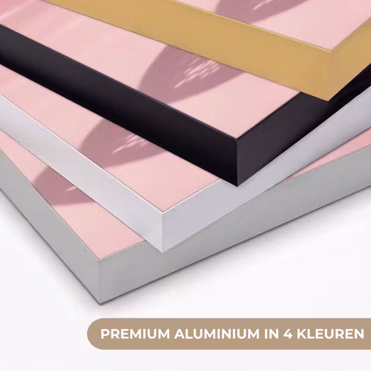 Art Frame - Grapefruit - Roze - Disco - Shiny — 5