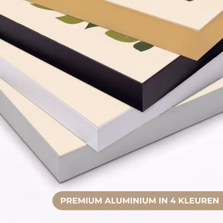 Art Frame - Bloemen - Speels - Kleurrijk — 8