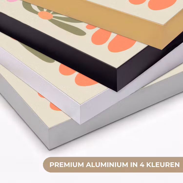 Art Frame - Bloemvormen - Retro - Kleurrijk — 8