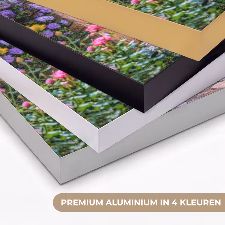 Art Frame - Doorkijk - Bloemen - Pad - Natuur — 8