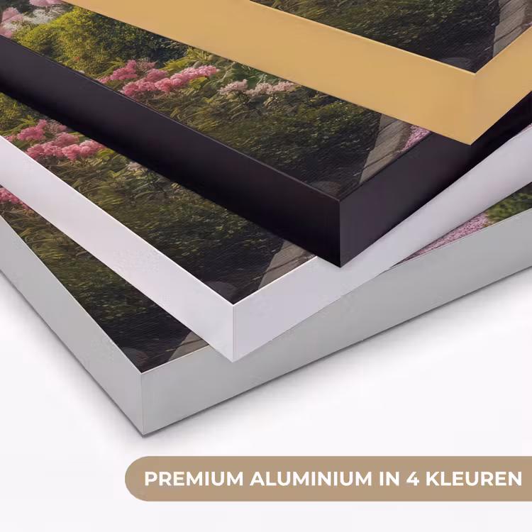 Art Frame - Kersenbloesem - Natuur - Sakura - Pad - Japanse tuin — 8