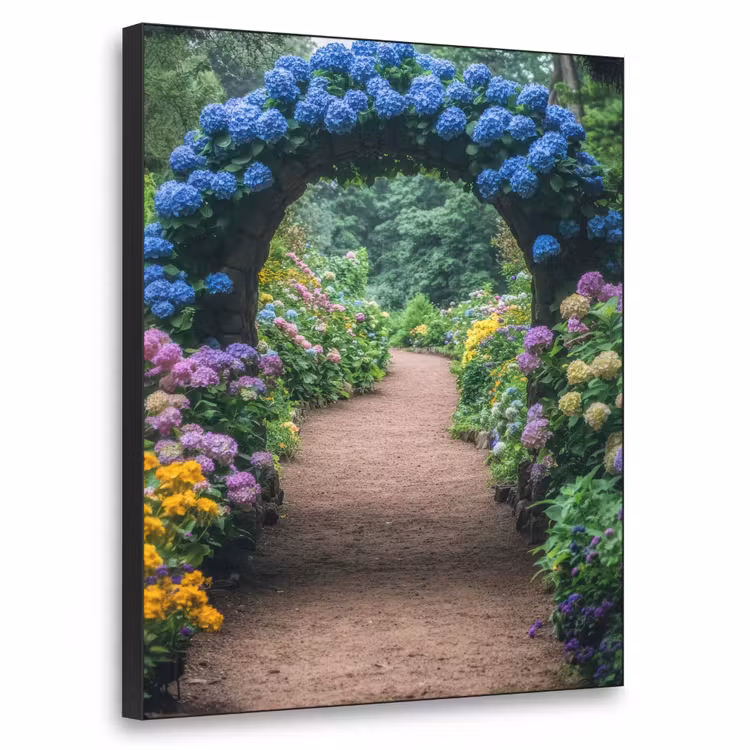 Art Frame - Doorkijk - Bloemen - Hortensia - Pad — 1