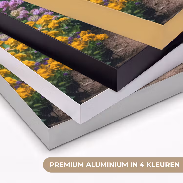 Art Frame - Doorkijk - Bloemen - Hortensia - Pad — 8
