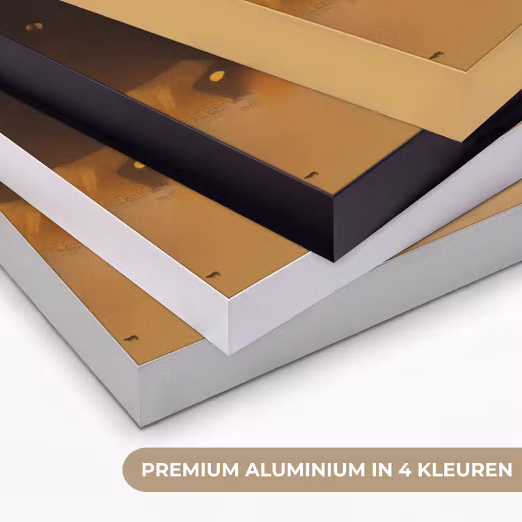 Art Frame - Leeuw - Geschilderd - Abstract - Goud — 5