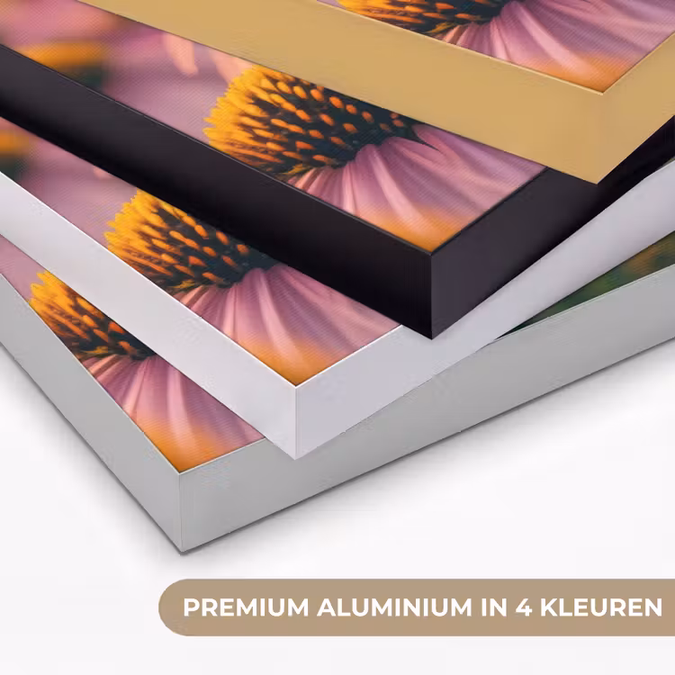 Art Frame - Bloemen - Paars - Bijen — 5