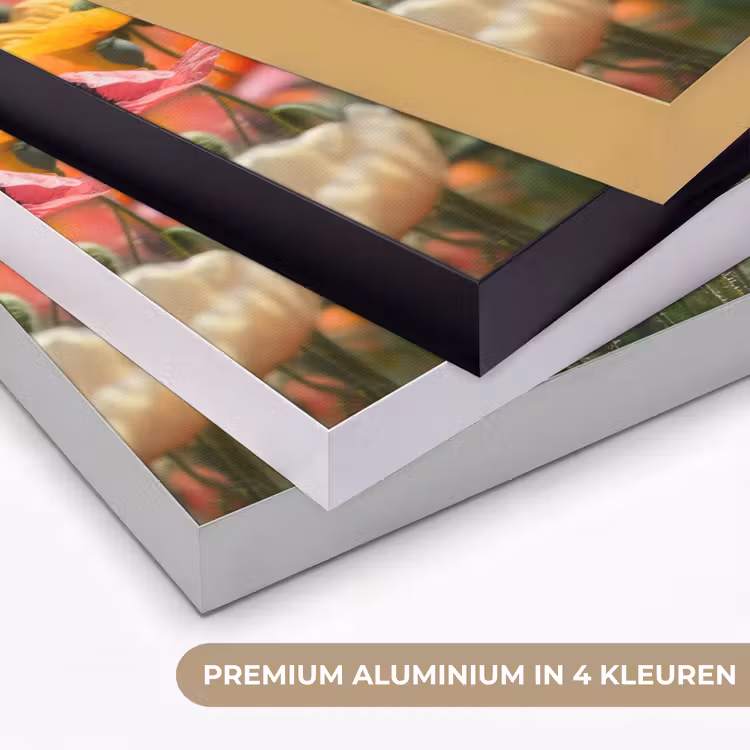 Art Frame - Bloemenveld - Klaprozen - Kleurrijk — 5