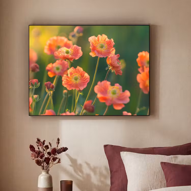 Art Frame - Bloemenveld - Zonnestralen - Oranje — 2