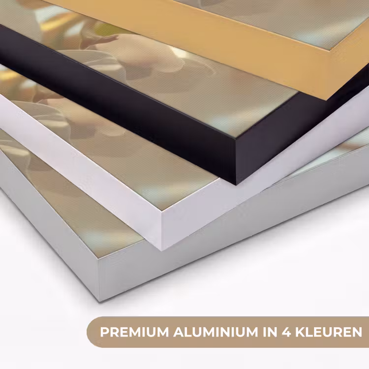 Art Frame - Bloesems - Wit - Zonnestralen -  Bloemblaadjes — 5