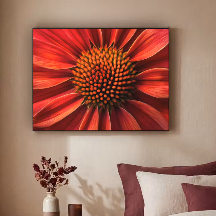 Art Frame - Close up - Bloem- Rood — 2