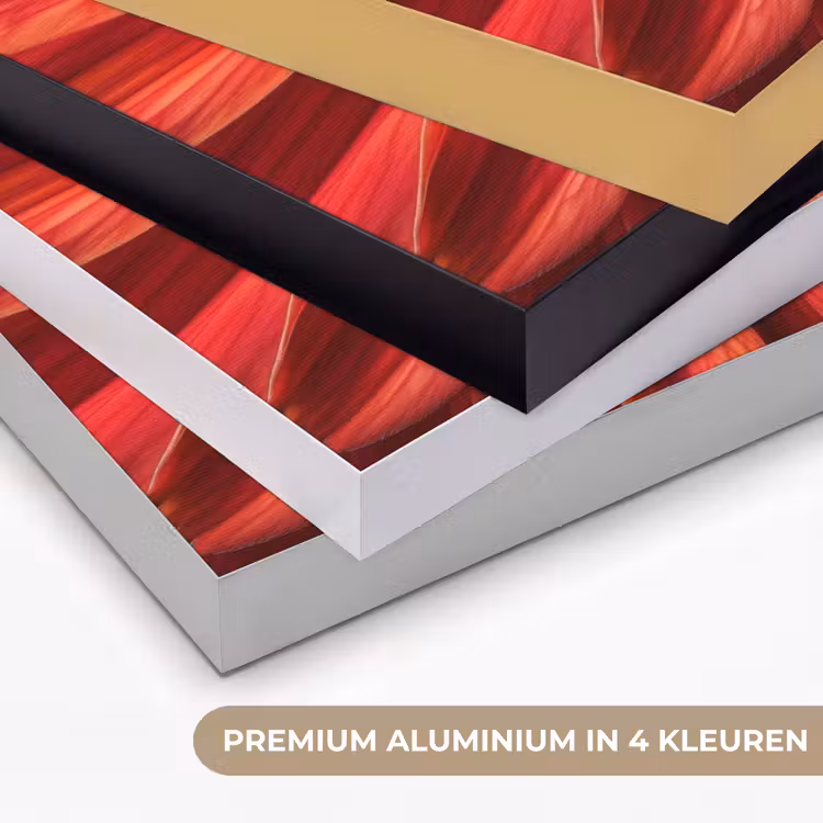 Art Frame - Close up - Bloem- Rood — 5