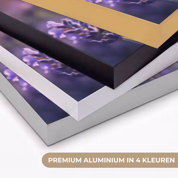Art Frame - Lavendelbloemen - Paars - Zonlicht — 5