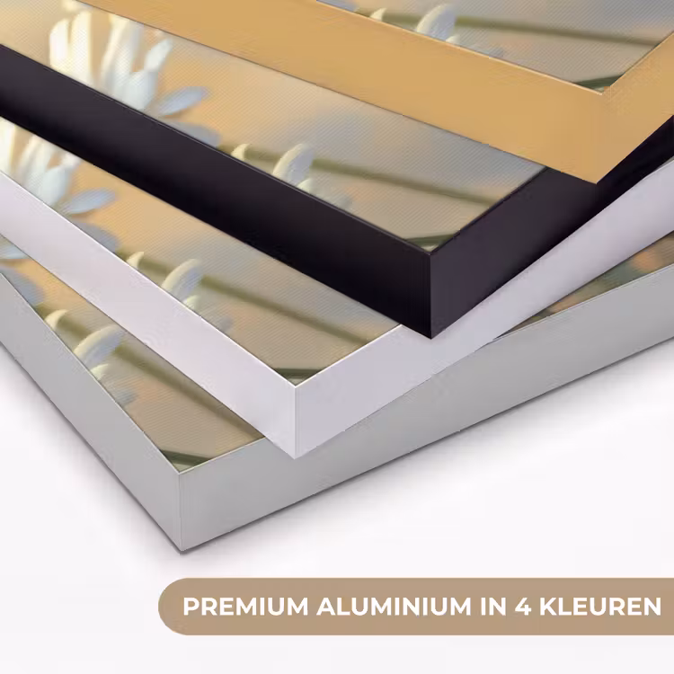 Art Frame - Madeliefjes - Wit - Zonlicht — 5