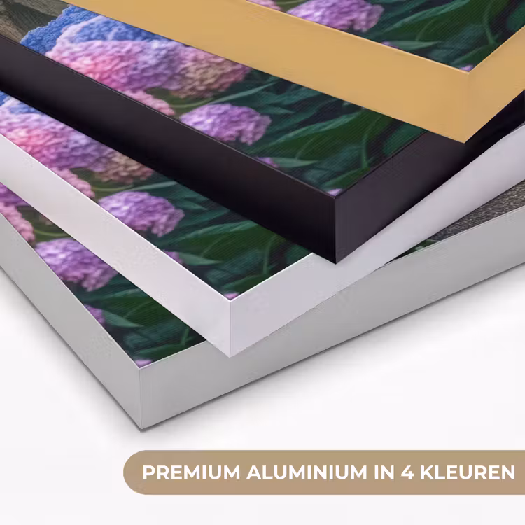 Art Frame - Hortensia- Park - Pad — 5