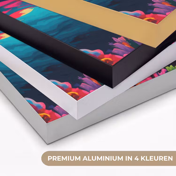 Art Frame - Dolfijn - Kleurrijk - Oceaan - Koraal — 5