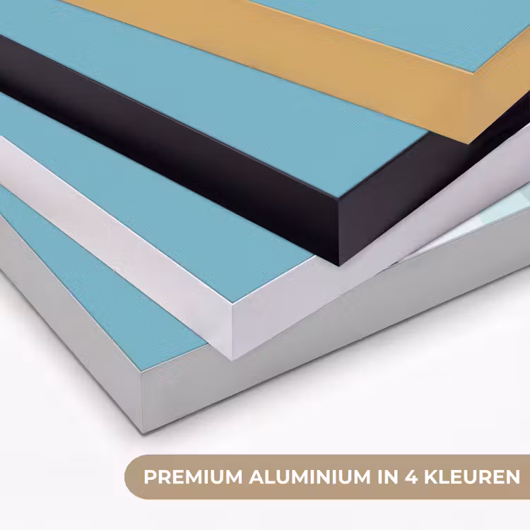 Art Frame - Ijsbeer - Lichtblauw - Minimalistisch — 5