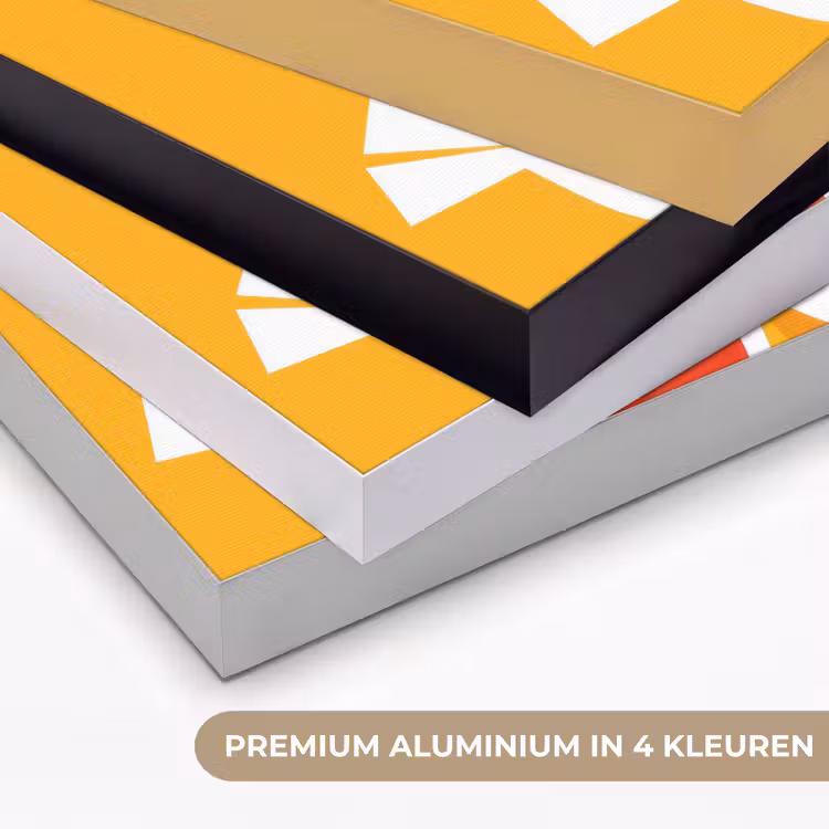 Art Frame - Kippen - Oranje - Vlakken — 5