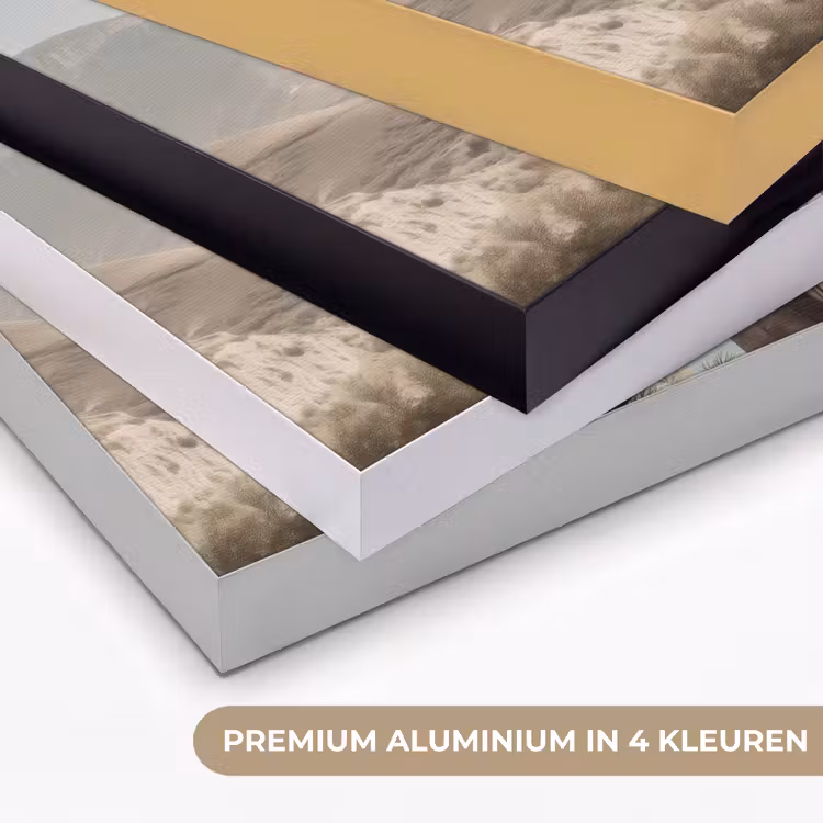 Art Frame - Kust - Klif - Boom - Gebouw — 5