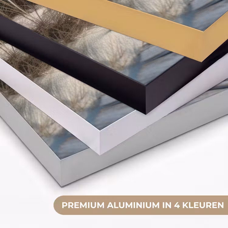 Art Frame - Pad - Planken - Duinen - Gras — 5