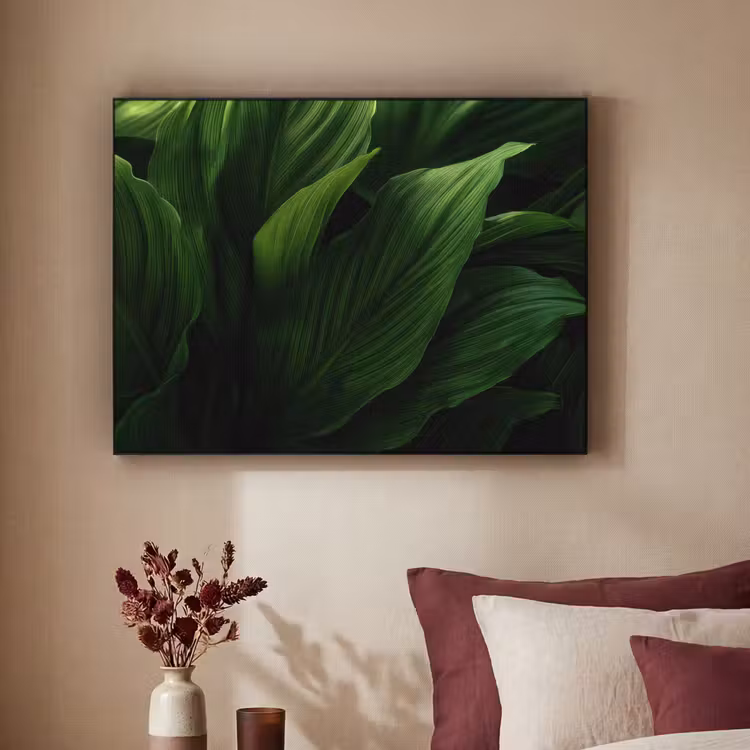 Art Frame - Bladeren - Schaduw - Groen - Textuur — 2