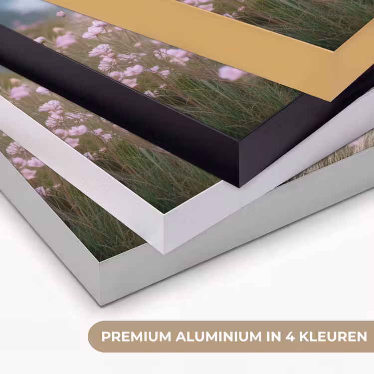 Art Frame - Klif - Bloemen - Zee - Roze — 5