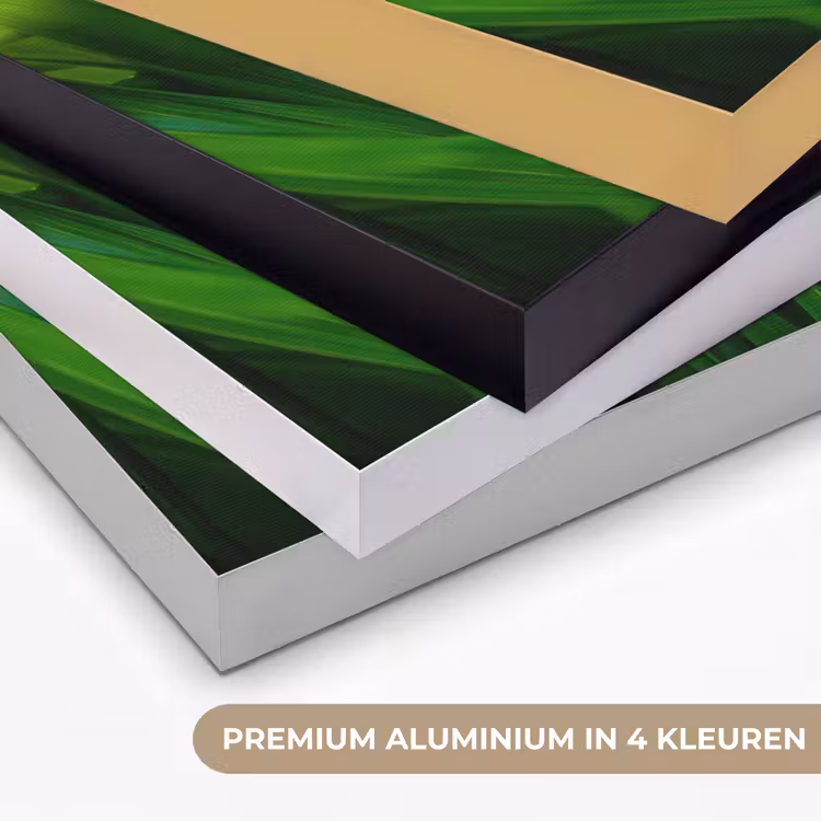 Art Frame - Grassprieten - Lichtinval - Groen — 5