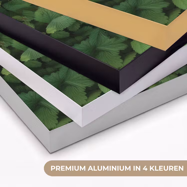 Art Frame - Groen - Bladeren - Kartel - Zonlicht — 5