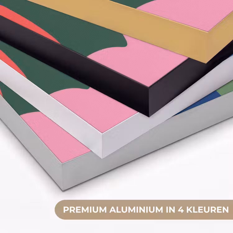 Art Frame - Kleurvakken - Recht - Rond - Abstract — 5