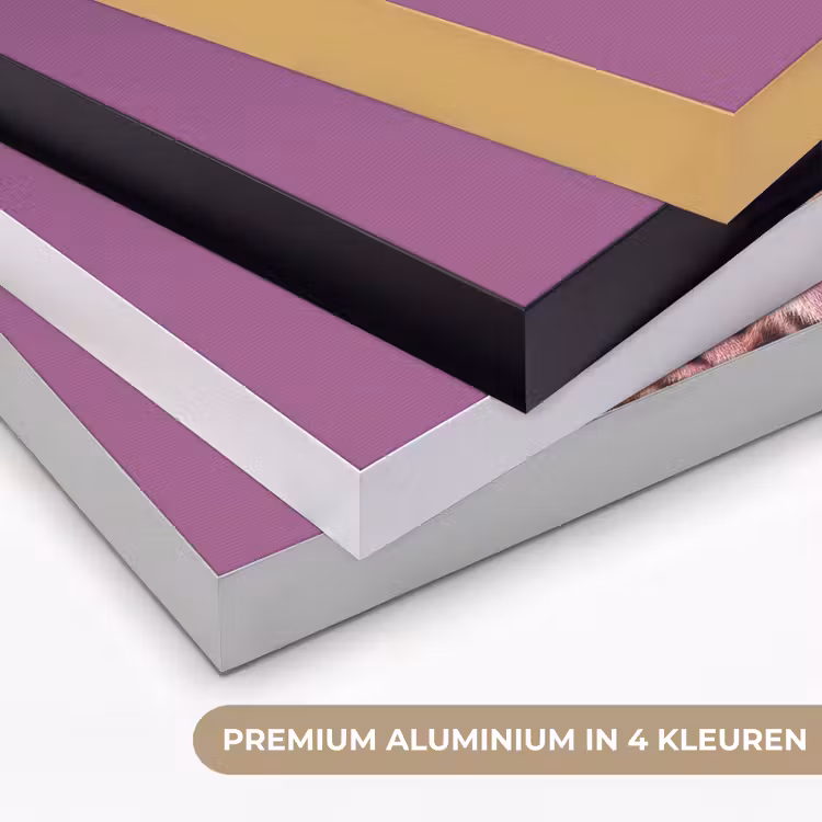 Art Frame - Panter - Zonnebril - Kauwgombel - Roze — 5