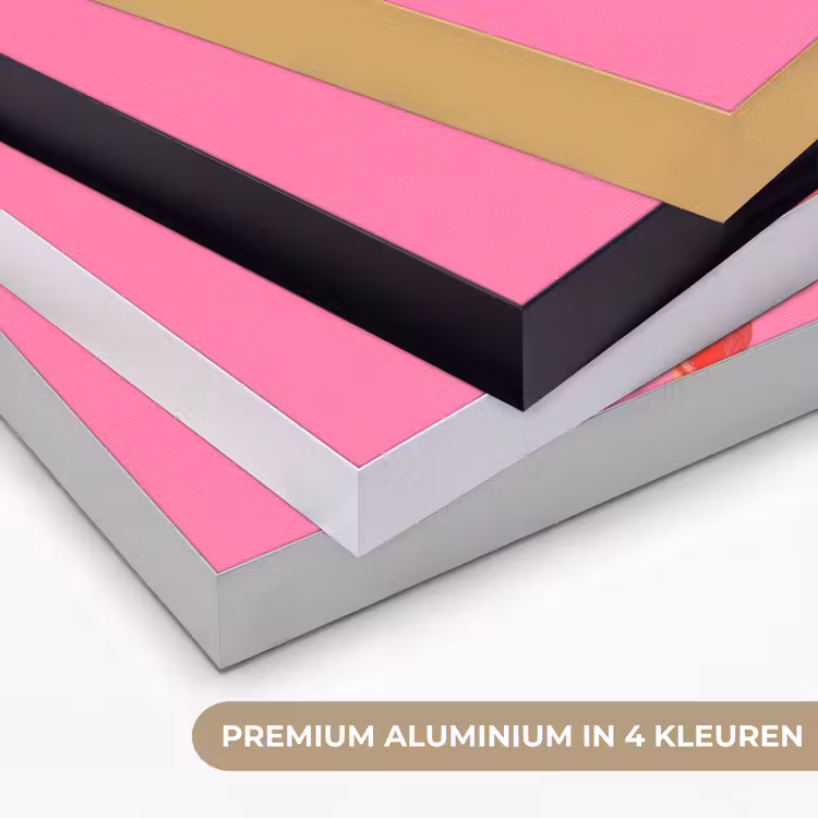 Art Frame - Giraf - Roze - Bril - Sjaal — 5