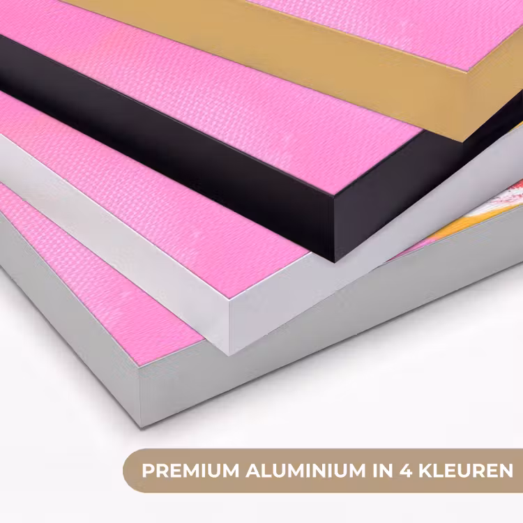 Art Frame - Grapefruit - Geschilderd - Roze - Strepen — 5