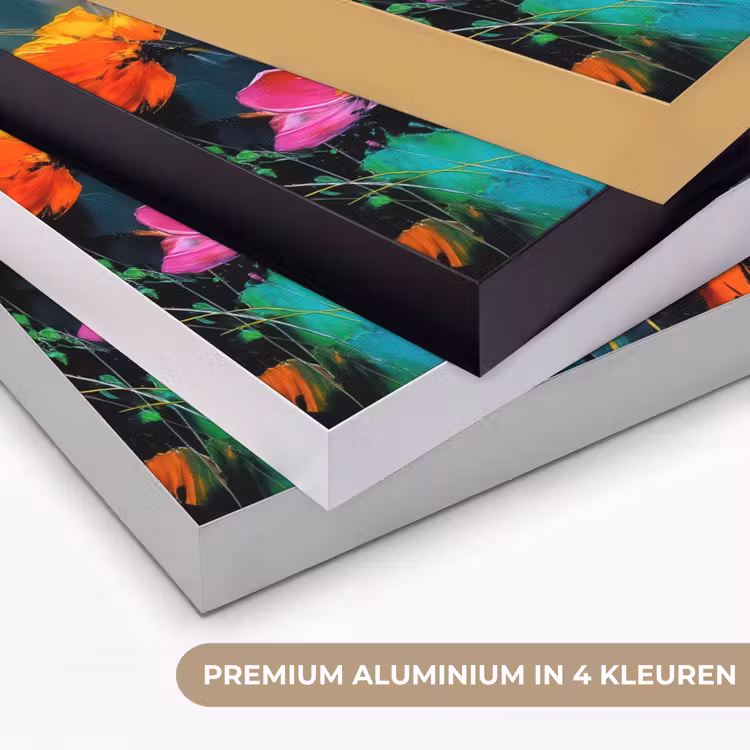 Art Frame - Felgekleurd - Bloemblaadjes - Abstract — 5