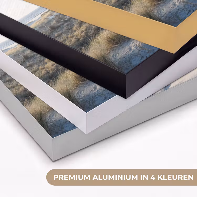Art Frame - Duin - Meeuw - Strand - Zee - Zon — 5