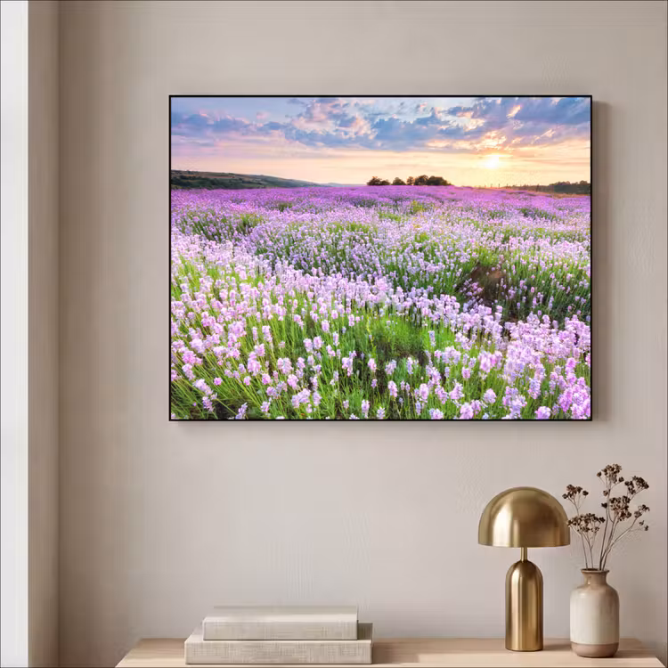 Art Frame - Lavendel - Bloemen - Zonsondergang - Paars - Weide — 3