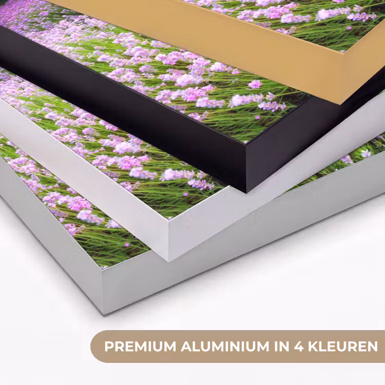 Art Frame - Lavendel - Bloemen - Zonsondergang - Paars - Weide — 5
