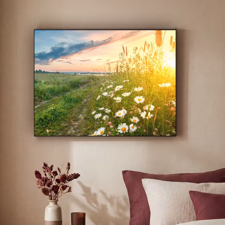 Art Frame - Bloemen - Madelief - Natuur - Zon - Horizon — 2