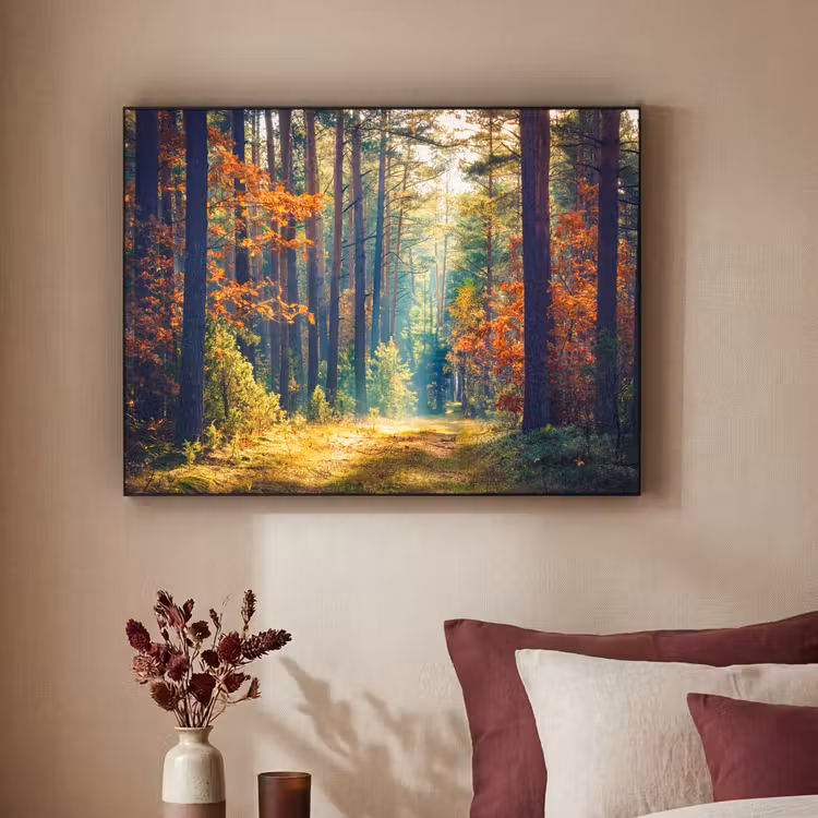 Art Frame - Bos - Zon - Natuur - Herfst — 2