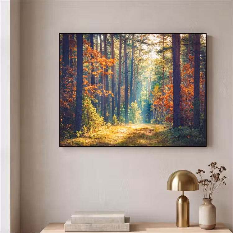Art Frame - Bos - Zon - Natuur - Herfst — 3