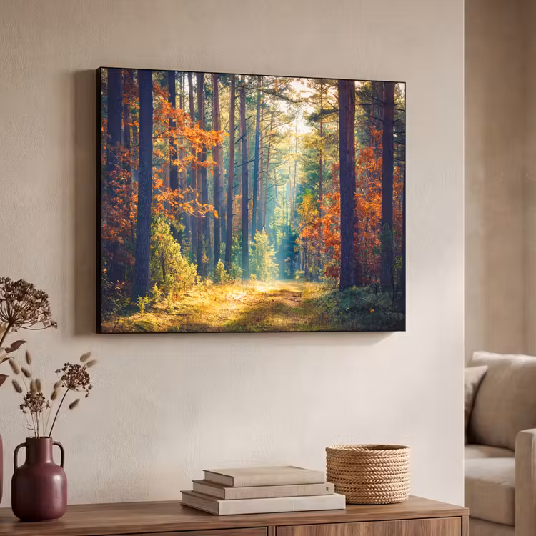 Art Frame - Bos - Zon - Natuur - Herfst — 4
