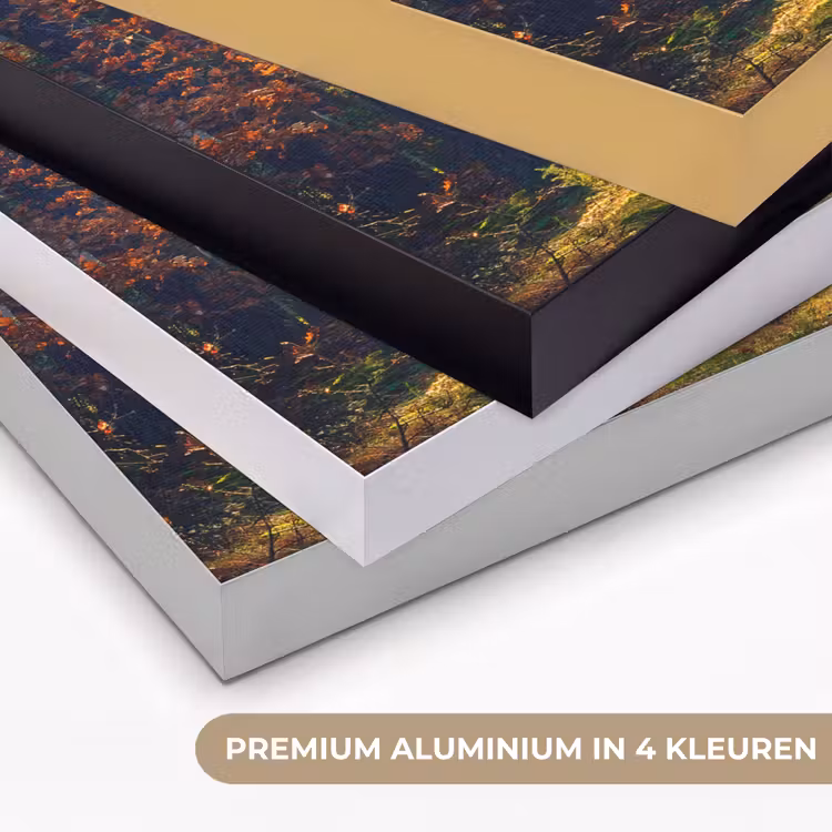 Art Frame - Bos - Zon - Natuur - Herfst — 5
