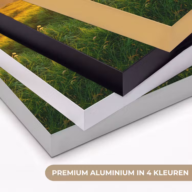 Art Frame - Gras - Heuvels - Zon - Natuur - Landschap — 5